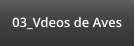 03_Vdeos de Aves