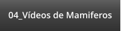 04_Vídeos de Mamiferos