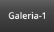Galeria-1