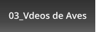 03_Vdeos de Aves