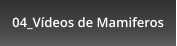 04_Vídeos de Mamiferos