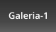 Galeria-1