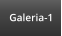 Galeria-1