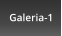 Galeria-1