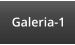 Galeria-1