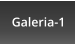Galeria-1