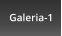 Galeria-1